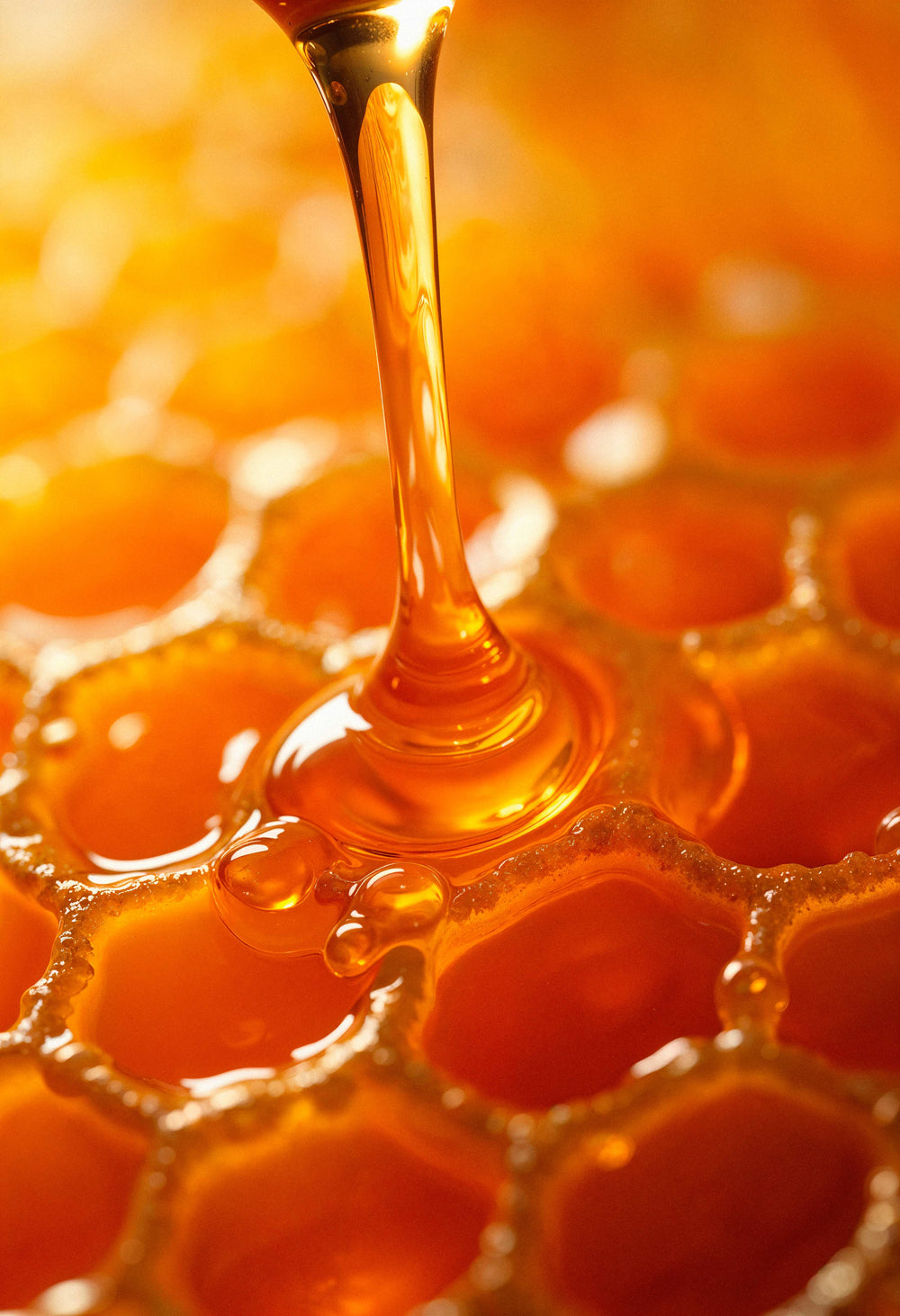 Honey